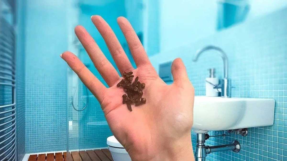 Put Cloves in the Bathroom and Say Goodbye to this Annoying Problem