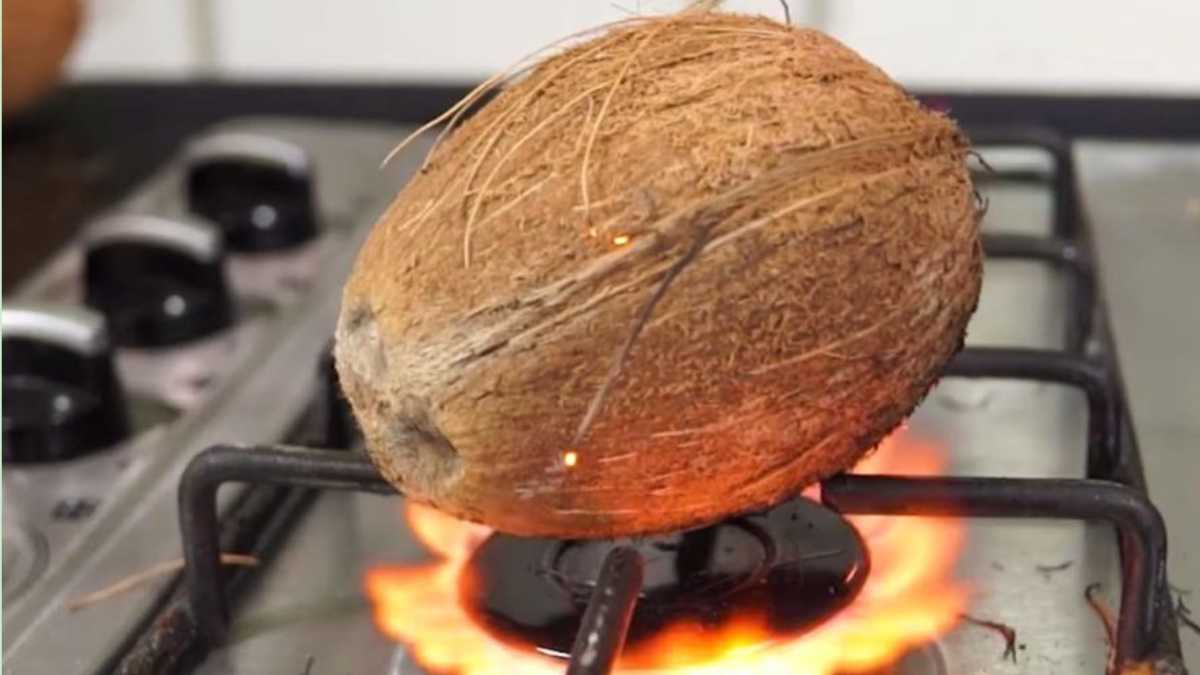 Putting a coconut in the oven, what happens if you try: the chefs’ tip
