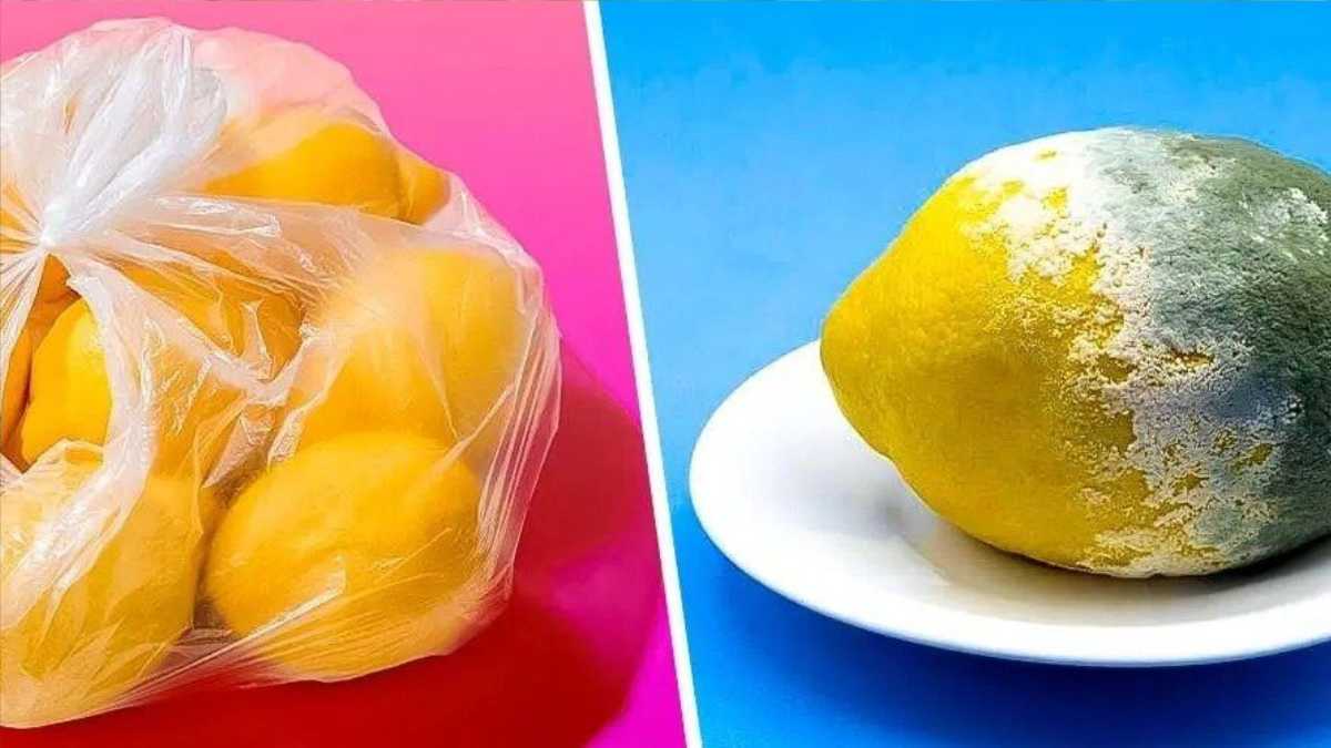The Best Way to Store Lemon For a Whole Month