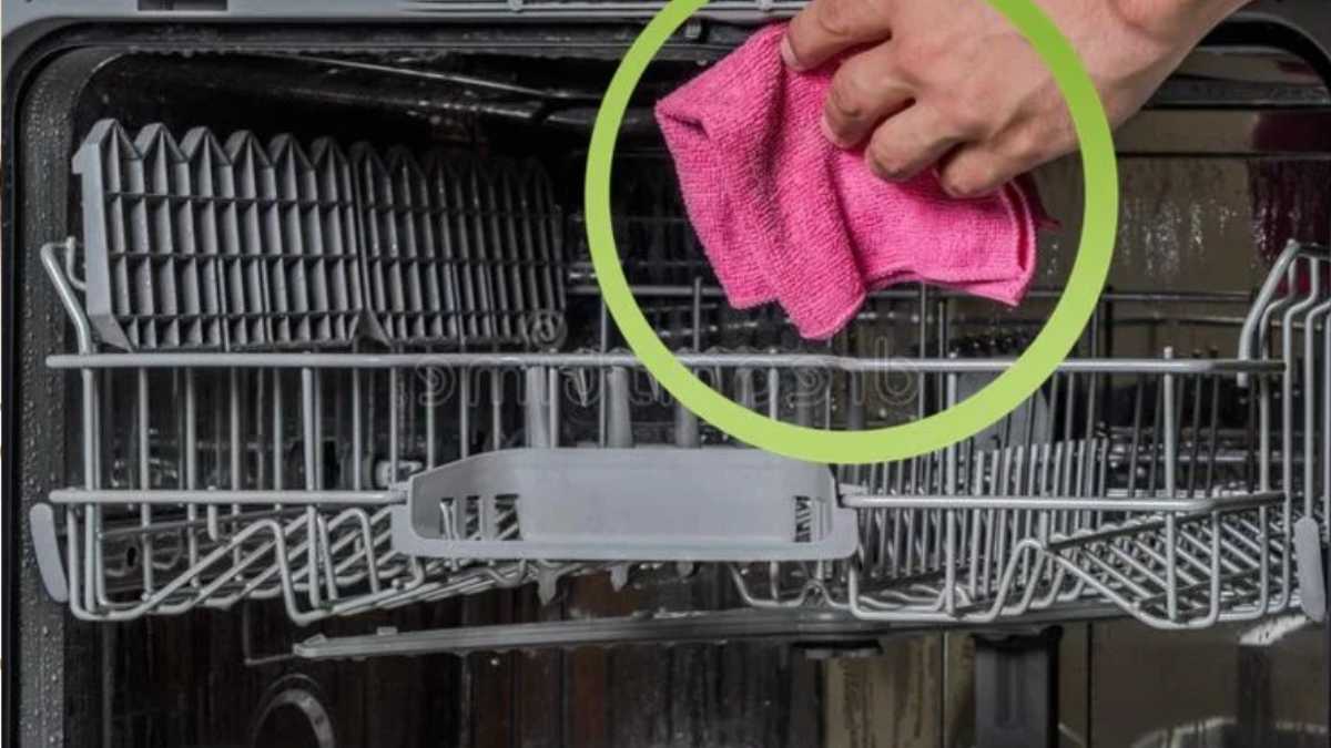 You Will Never Dry the Dishes in the Dishwasher Again: Here is Why!