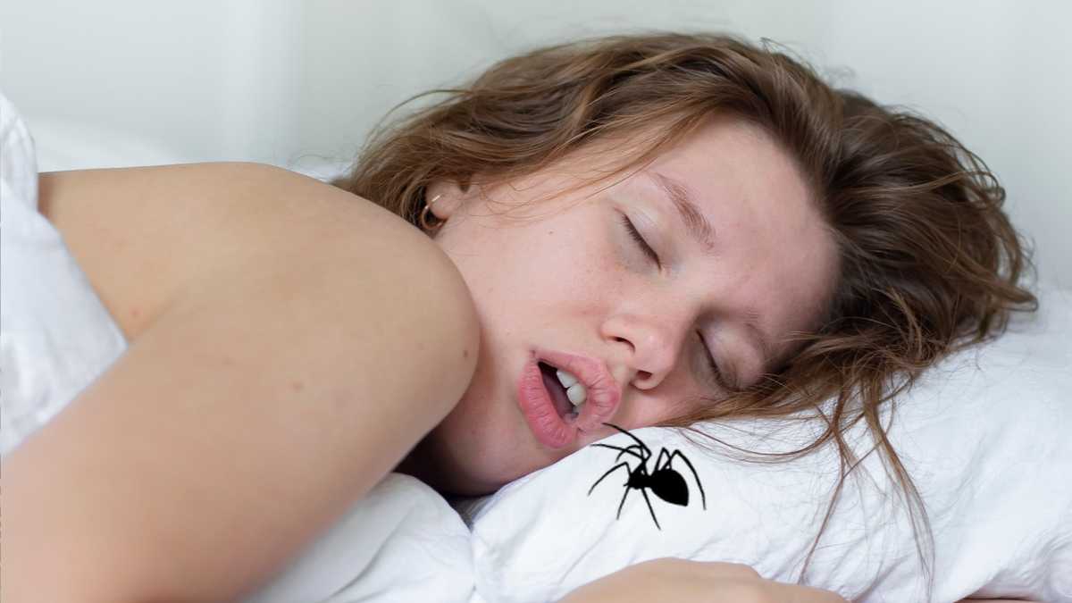 Do people really swallow spiders in their sleep?