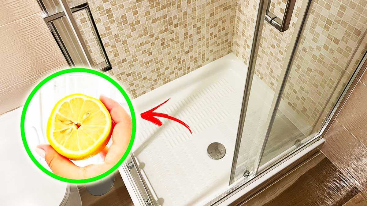 Easy Ways to Fix a Smelly Shower Drain