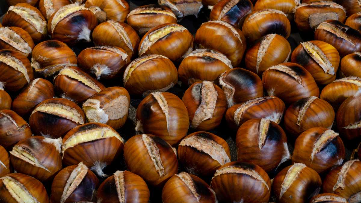 How to Cook Roasted Chestnuts in the Air Fryer