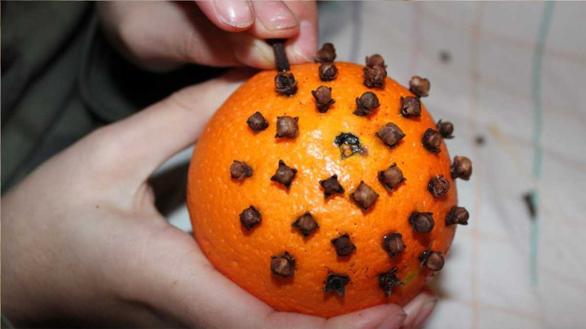 Put Cloves in an Orange: Solve a Common Household Problem