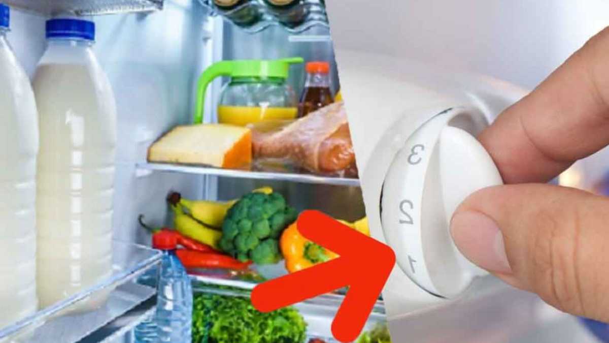 Refrigerator: Tips to keep it clean and food safe