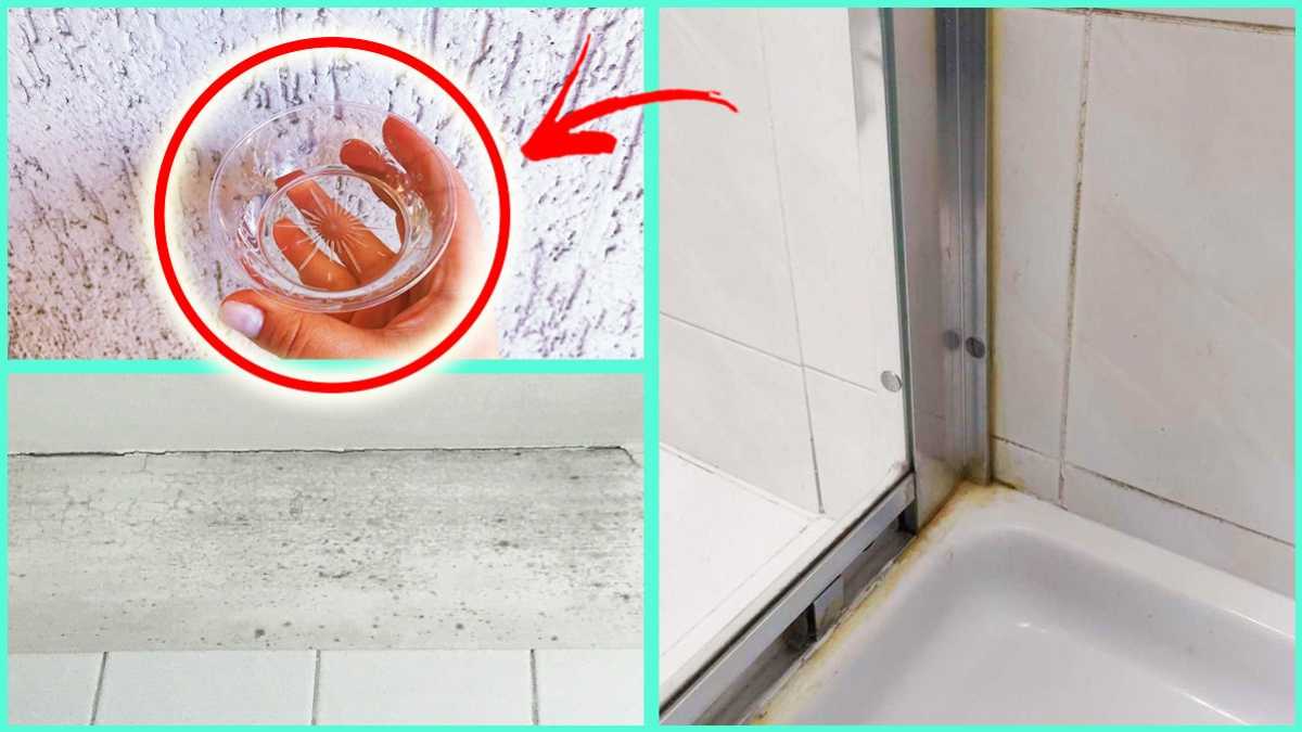 Simple and Effective Remedies to Get Rid of Mold from your Bathroom
