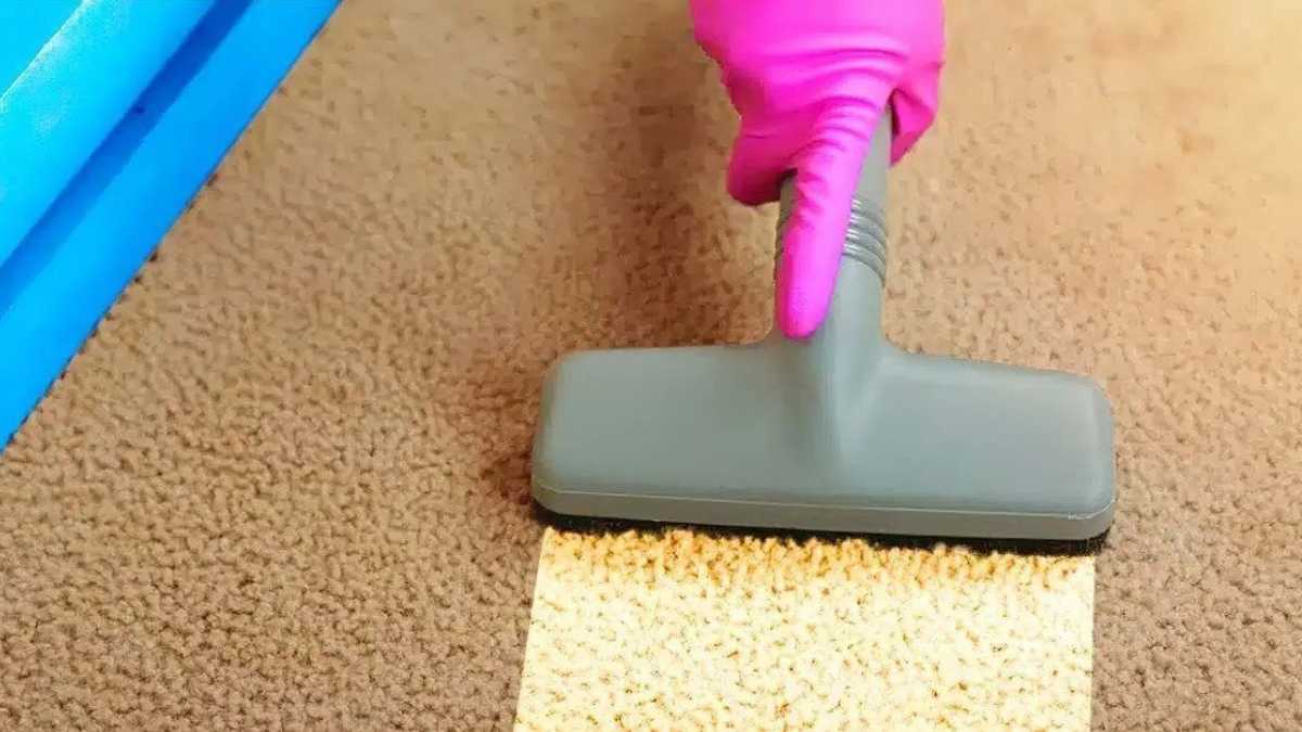 The Best Homemade Cleaners for Removing Stains from your Carpet