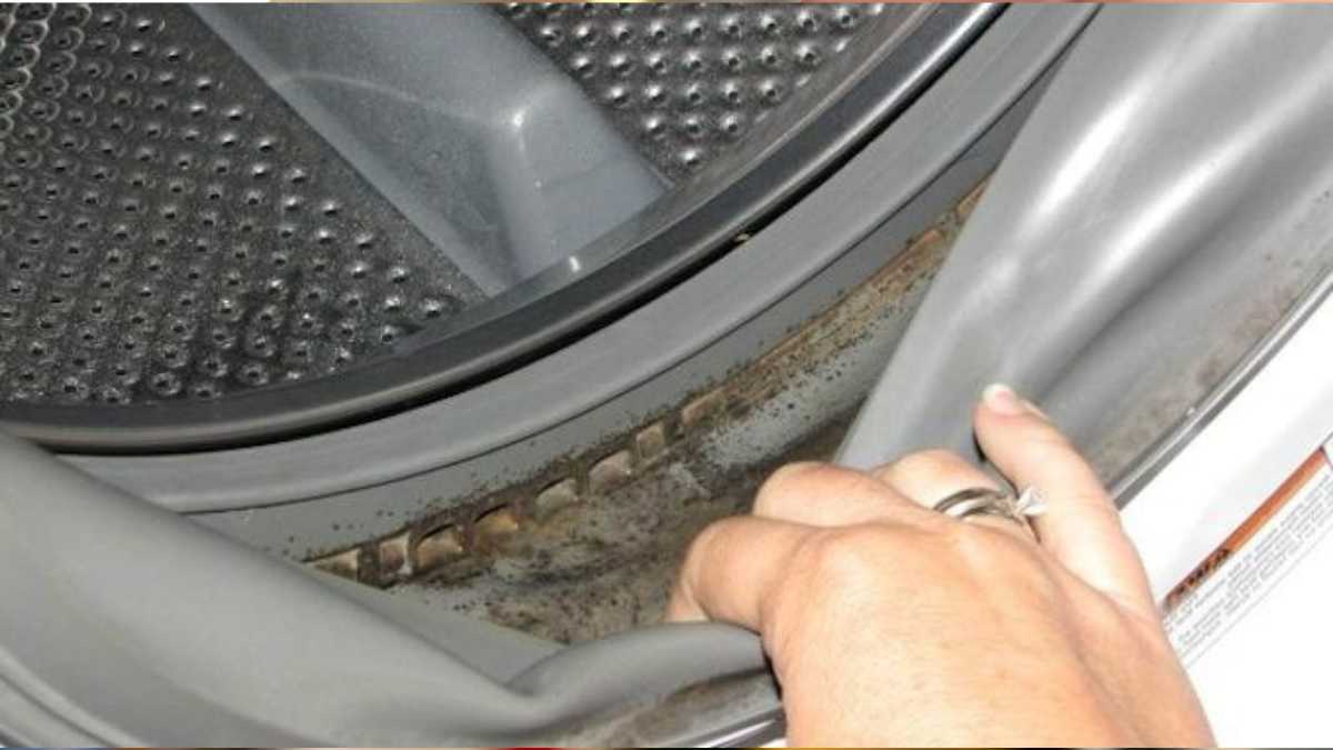 The trick to easily remove mold in the washing machine
