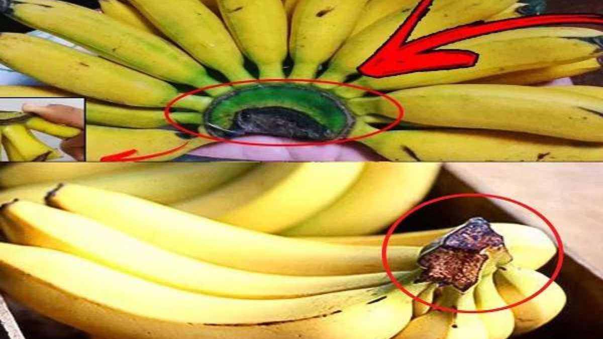 Transform the way you view bananas: discover why you should never part with this much-loved part of your home!