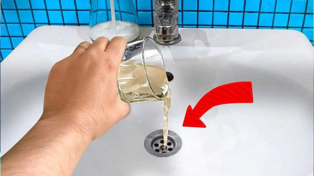 Why Is it Important to Pour Vinegar in the Sink Once a Month?