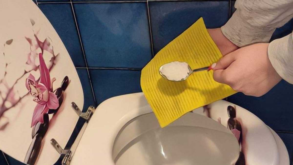 Clean and Shiny Toilet, this Is the Trick that Even 5-Star Hotels Use