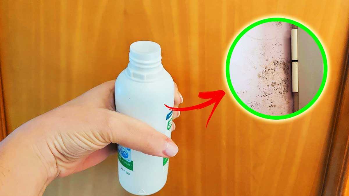 How to Use Hydrogen Peroxide to Remove Mold in the Home