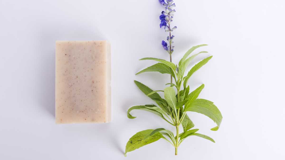 Soap: Transform your plants with this unexpected secret