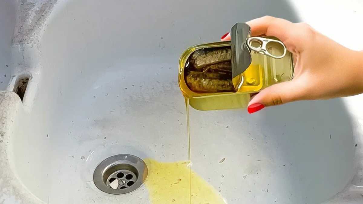 Stop throwing tuna oil down the sink