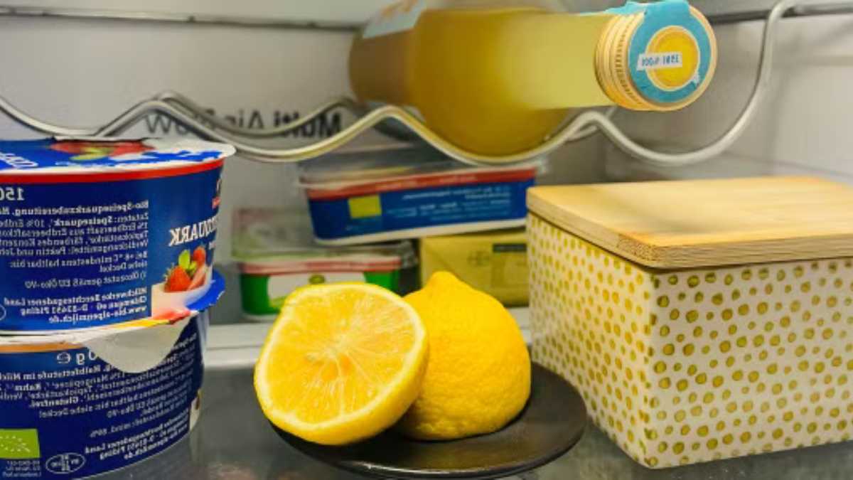 Lemon in the refrigerator: why there is no place
