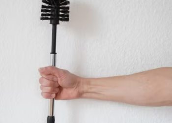 Changing the toilet brush: here's how often you should do it