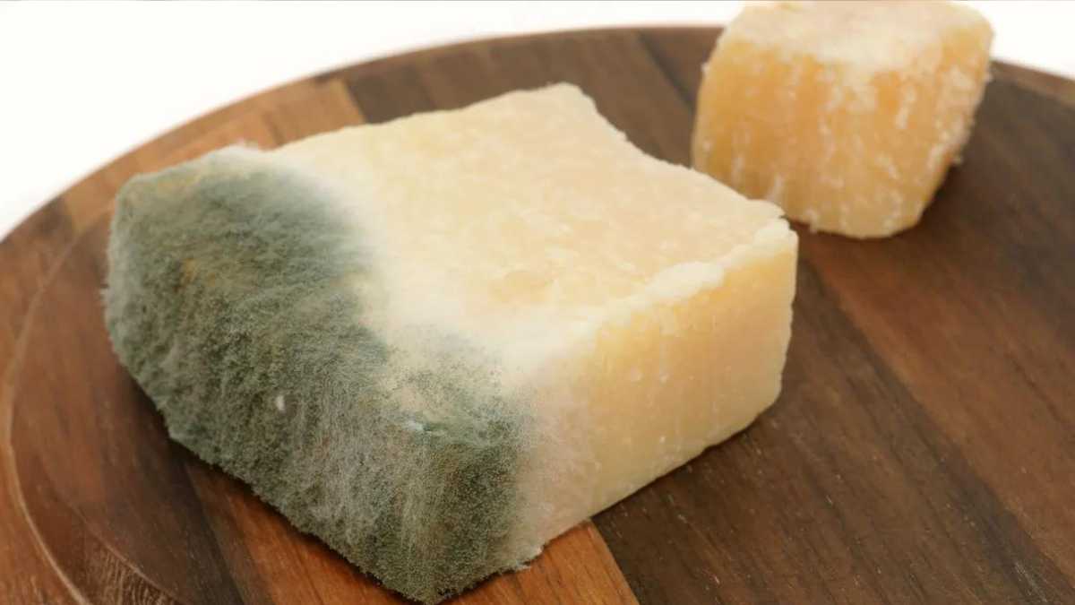 How to Prevent Parmesan Cheese from Molding So Quickly