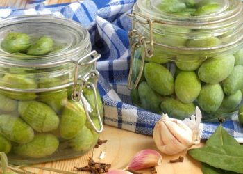 How to prepare Homemade Green Olives in Brine